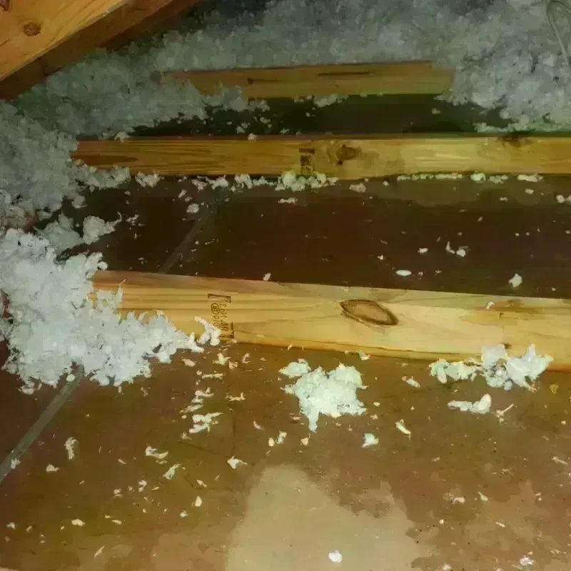 Attic Water Damage in Claremont, NH