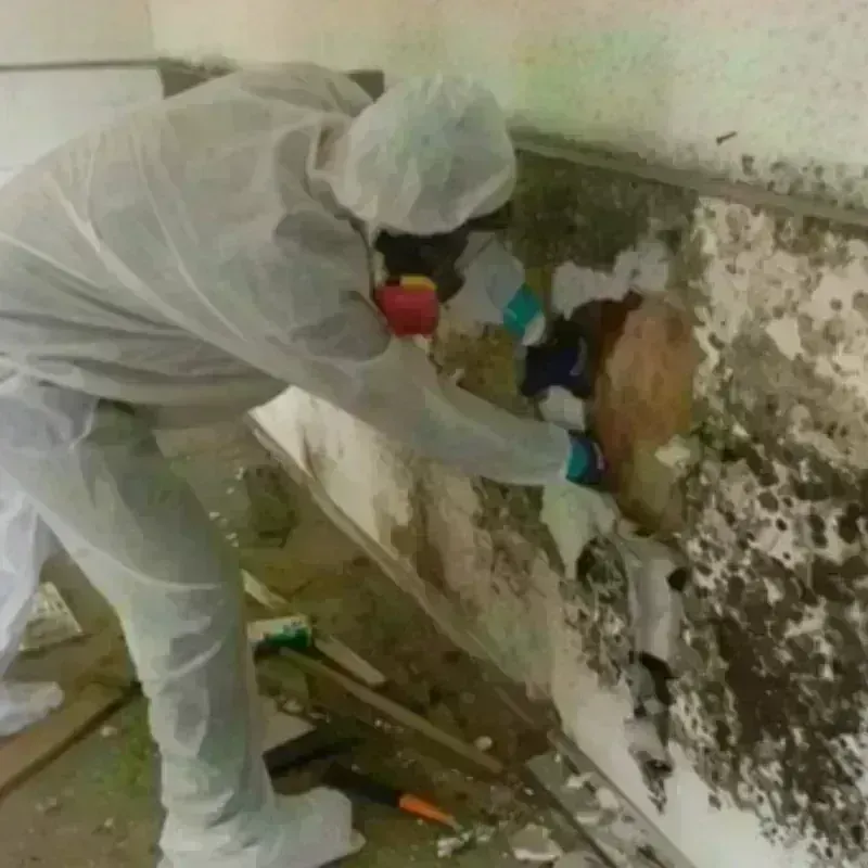 Mold Remediation and Removal in Claremont, NH